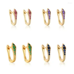 Creolen Großhandel Gold Silber Farbe Für Frauen Bunte CZ Zirkon Piercing Schlange Clip Studs 2023 Schmuck