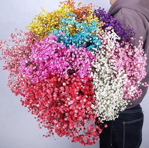 Gypsophila Bebek Nefes Milyon Yıldızlar Doğal Kurutulmuş Çiçekler Bitki Korunmuş Ev Düğün Noel Yeni Yıl dekorasyonu özelleştirilmiş4136975