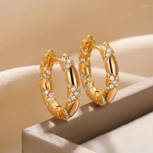 Hoop Coldings cyrkon mały dla kobiet ze stali nierdzewnej złoty kolor ślub 2023 Luksusowy piercing biżuteria świąteczny prezent