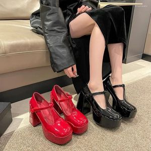 Dress Shoes Mary Jane Patent Leather Waterproof Platform High Heels Women's Single Fashion Super