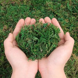 Decorative Flowers Simulated Eternal Moss Turf Artificial Shop Window Grass Plant Decoration Potted Landscape