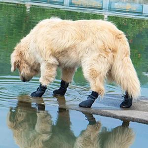 Dog Apparel 4Pcs Shoes Socks Non-Slip Wear-resistant Rubber Absorption Puppy Sport Boots For Outdoor