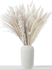 Dekoratif Çiçek Çelenkleri 85pcs Beyaz Kurutulmuş Çiçekler Reed Buket Kuru Pampas Şubeleri Düzenleme Düğün Kuyruk Çim Dekasyon Ev Dekorasyonu 231214