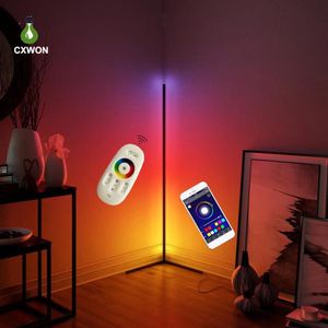 Hörngolvlampor RGB Dimble Smart LED -golvljus med fjärrkontroll Sovrummet Atmosfär inomhusdekoration237b