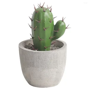 Decorative Flowers Artificial Cactus Bonsai Flowerpot Green Plants Fake Faux Grass Branch Leafs Cute Room Decor Office Garden Decorations