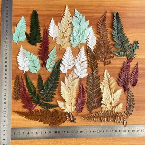 Decorative Flowers Wreaths 20PCS/ 8~20CM Real Dried Natural Preserved Leaves Plant In different sizes Dry Pressed Fern Leaf Resin Jewelry Making Craft 231214