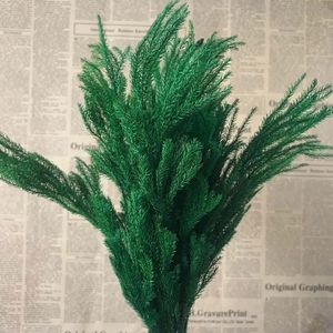 Decorative Flowers Wreaths 20-30CM/30g Real Dried Natural Fresh Forever Lycopodium Branches Decorative Club Moss Bouquet Dry Preserved Eternal Grass Home 231214