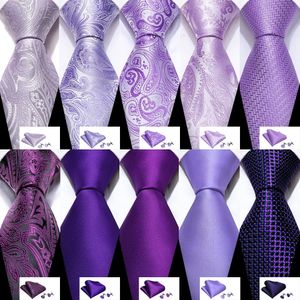 Neck Ties Male Gift Silk Men Tie Set Purple Violet Solid Paisley Striped Wedding Business for Man Necktie Handky Cufflinks BarryWang 231216