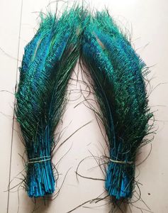 Craft Tools Wholesale Free good high quality 20pcs natural peacock feather 30 35cm 12 14inch A variety of decorative hu blue 231216