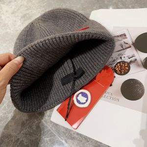 goose Hat Luxury Beanie Top Quality Designer Beanie Bonnet Beanie/skull Caps Designer Knitted Hats Ins Popular Winter Hat Classic Letter