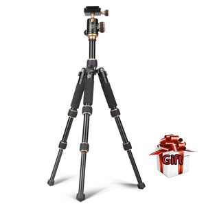 Aksesuarlar QZSD Q166 Tripod Taşınabilir Fotoğrafçılık SLR Kameralar AMP Cep Telefonları