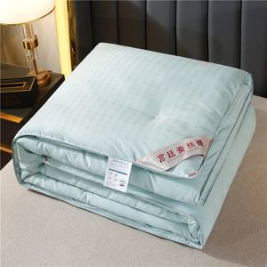 Comforters Set Formtheo Handmade Silk Quilt Mulberry Winter Spring and Autumn Bedstrast Comporter Set 200230 220240 231215