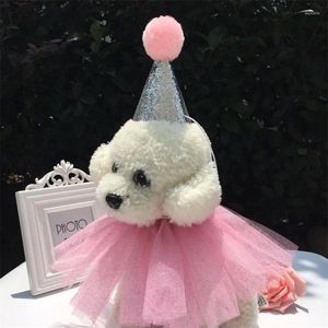 Abbigliamento per cani Paillettes Peluche Bambola Gatto Compleanno Cappello Papillon Colletto Corona Corona Pizzo Bambini Ragazzo Ragazza Festa Accessori per animali Decorazione Pasqua