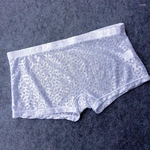 Underpants Sexy Men Sheer Boxer Shorts Breathable Thin Briefs Underwear Lace Stretch Boxershorts Man