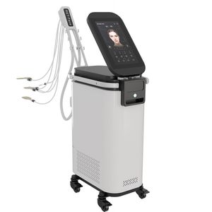 2024 Neuankömmling PE Gesicht Elektrische Massage RF Gesichtsmuskel Stimulieren V-Linie Facelifting EMS Faltenentfernung Facelifting Straffung Emslim Gesichtsmaschine