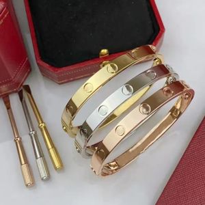 Bracciale a vite di design Gioielli di lusso di moda Bracciale alla moda Placcato in oro 18 carati Acciaio al titanio Diamante per donna Uomo Bracciali per unghie Gioielli firmati in argento-A