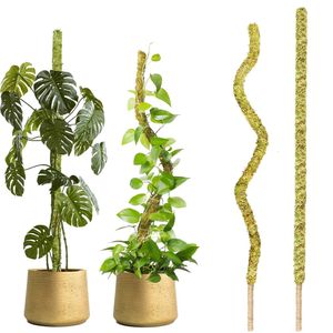 Plantadores Potes 1 PC Pólo de Musgo Dobrável para Plantas Monstera Handmade Slim Plant Stakes Indoor Real Escalada 231216