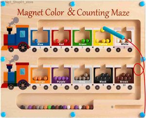 Sortera häckning stapling leksaker magnetisk färg och nummer maze montessori leksaker för barn fina motoriska färdigheter förskola lärande aktiviteter resor småbarn q231218