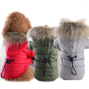 Köpek Kıyafet Kış Kıyafetleri Hafif Palto Pamuk Ceket Küçük Köpekler Açık Hava Evcil Kedi Köpek Kıyafetleri Soğuk Havada Kapüşonlu Dr OTJZS