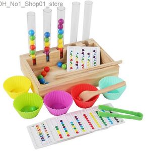 Sorting Nesting Stacking toys Montessori Clip Beads Test Tube Toy Children Logic Concentration Fine Motor Training Math Game Educational Toys For Kids Q231218