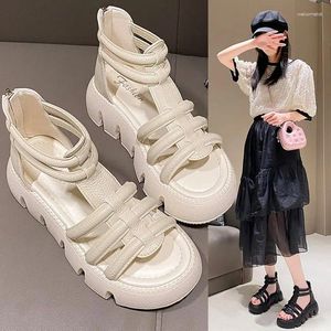 Slippers Shoes Women House Platform Beige Heeled Sandals Pantofle Peep Toe Luxury Slides Med Flock Soft Black 2023 Flat Designe