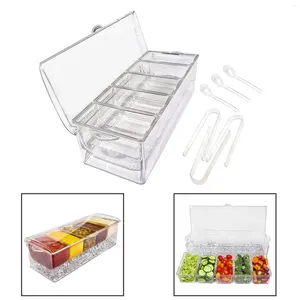 Plates Ice Serving Tray Appetizer Transparent 5 Section Chilled Condiment