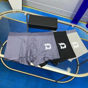 Herren-Unterwäsche, Boxershorts aus Bio-Baumwolle, Eisseide, Modell, sexy, männlich, schwul, männlich, Boxer, atmungsaktiv, neue Netzaugen, Herrenunterwäsche, Größe L-XXXl, 3 Stück/Menge