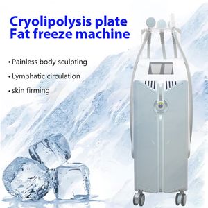 Ce Approved Slimming Machine Cryoskin Cryoslim Cold and Thermal Machine