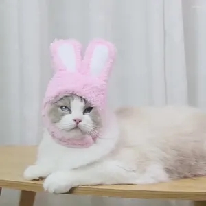 Kedi Kostümleri Komik Aksesuarlar Cosplay Yıl Kapak Şapkası Po Meatwear Noel Gatos Köpek Pet Ropa Props Parti Kostümü Sıcak