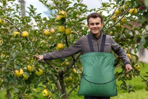 10 peças saco de colheita de frutas ajustável colheita jardim avental bolsa de armazenamento para colheita de vegetais frutas grandes maçã manga pêra pêssego manga ZZ