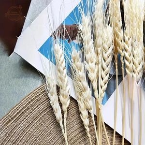 Decorative Flowers White Dried Wheat Stalks Bouquet Dry DIY Flower Arrangements Christmas Home Wedding Table Decor Boho Decoration