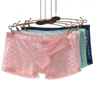 Underbyxor mäns ultratunna nät andas underkläder elefant näsboxare shorts transparent sexiga platta hörnbyxor knickers