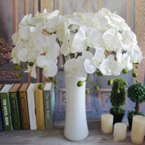 Seta Stelo singolo Orchidea Lunghezza Fiori artificiali Mini Phalaenopsis Orchidee farfalla Rosa Crema Fucsia Blu Verde Colore ZZ