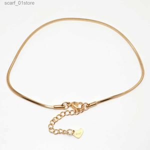 Anklets 1pc 23.3 cm rostfritt stål Anklet för kvinnor Fotarmband smycken Guldfärg Snake Chain Anklet 2021 Trend Birtay Giftl231219