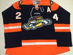 Benutzerdefinierte ECHL 2016-2017 Greenville Swamp Rabbits 24 Justin Dasilva Hockey-Trikots CCM Vintage mit einem Patch genäht S-5Xl 72