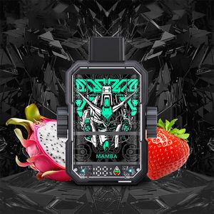 Best Taste Vape 10000Puffs Vape Wiederaufladbares 10K Puffs Pod-Gerät Einweg-elektronische Zigarette 2% 5% Nico Salt 14ML E-Liquid-Saft-Vaper mit gutem Geschmack