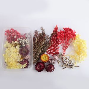 1 scatola di veri fiori secchi piante secche per aromaterapia candela resina epossidica collana pendente creazione di gioielli accessori fai da te artigianali