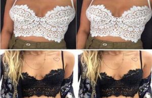 WholeSexy BH Spitze Tube Top Camisa Feminina Plus Size Crop Top Spitze Bralette Crochet Hollow Tops Women039s Kurzes Leibchen 4737225