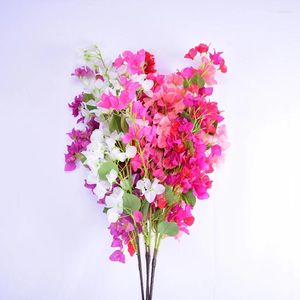装飾的な花Bougainvilleaは、結婚式の段階の花の飾り家などに使用できます。