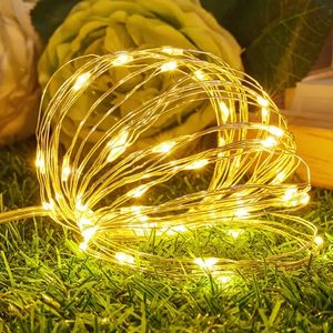 Luce scintillante a filo di rame a LED da 7,9 piedi con batteria a bottone, filo di rame luci di Natale per matrimonio da festa esterno, luci della corda di decorazione per feste