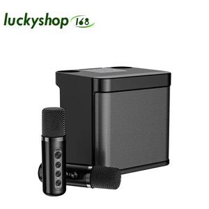 Altoparlanti YS203 Stoperositori portatili Elettronica professionale karaoke dual microfono bluetooth altoparlante wireless stereo bass subwoofer karaoke karaoke