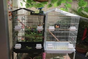 39 inch Large Bird Cage Roof Top Steel Wire Plastic Feeders Parrot Sun Parakeet Green Cheek Finch Canary Black White Cages6775822