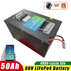 Piller 60V 50AH LIFEPO4 Pil Paketi Yerleşik BMS Metal Kılıf RV EV MOTOR ELECRTRIC Bisiklet 1800W 3000W Motor + 5A Şarj