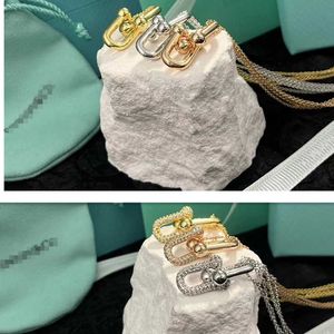 Designermärke U-formad hästsko spännehalsband pläterad med 18K guldljus lyxigt unikt par av samma stil stålkrage kedja för kvinnor