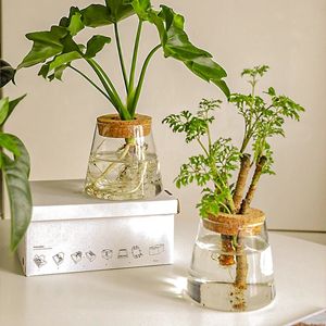 Simple Transparent Glass Flower Pot Home Decorative Hydroponic Bottle Creative Craft Ornaments Greenery Desktop 231221