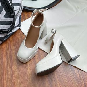 Dress Shoes Ladies On Sale 2023 High Quality Buckle Strap Women's Heels Sexy Casual Super Female