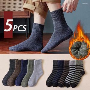 Erkek Çorap Kış Peluş Kalın ve Sıcak Döngü Orta Tüp Zemin Havlu Toptan