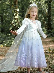 Abiti da ragazza Abiti per bambini Autumn Inverno Nuova Snow and Ice Princess Frozen Dress for Girls Birthday Party Gradient White Mesh Dress