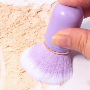 Make-up-Pinsel, synthetische Borstenpinsel, tragbar, Mini-Set mit weichen Borsten für Foundation, Puder, Kontur, flauschig