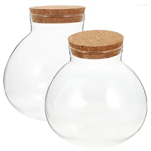 Vasos 2 Pcs Plantas Suculentas Micro Paisagem Garrafa Ecológica Doces Frascos Tigela De Vidro Microlandscape